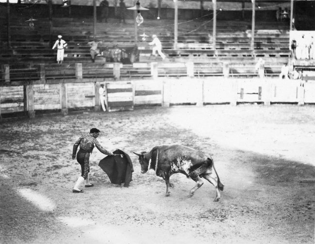 plaza toros vista alegre (6)